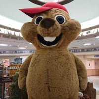 ナイアガラの滝とニューヨーク個人旅行9日間１-2日目