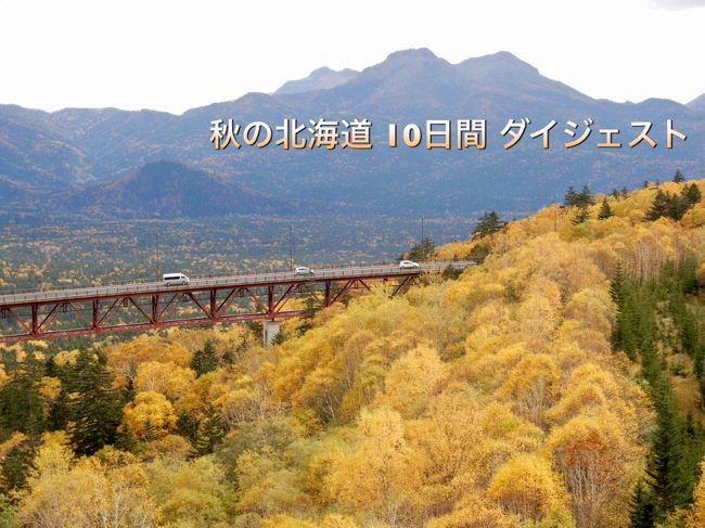 秋の北海道10日間 ☆前半は「気ままな女子ふたり旅」☆後半は「今年で3回目 豊富でプチ湯治」 ダイジェスト版