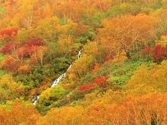 錦秋の白馬紀行③栂池自然園 2017年