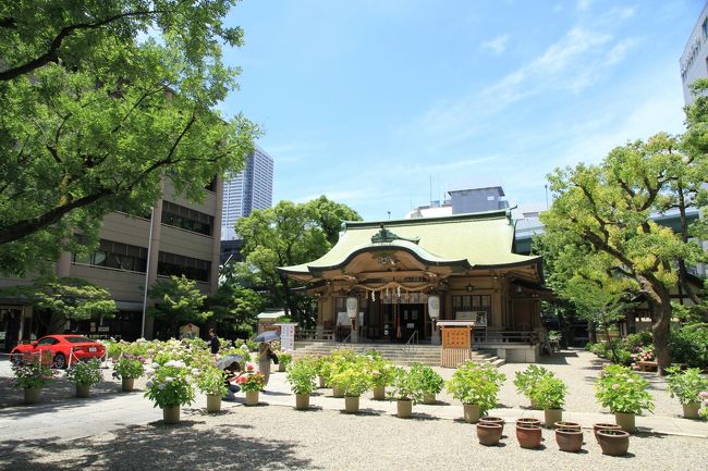 摂津国一之宮　坐摩（いかすり）神社<br /><br />近畿地方の一之宮神社を巡っています。<br />一之宮（いちのみや）とは、ある地域の中で最も社格の高いとされる神社のことです。<br /><br />大阪市中央区久太郎町に鎮座。<br />大阪市内の商業地でビルや高速道に囲まれた地に建つ坐摩神社。<br />境内に入ると周りの喧騒とは打って変わって静寂な神々しい雰囲気となります。<br />ちょうどアジサイがきれいに咲いていました。<br />