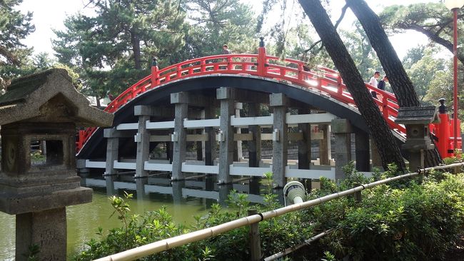 河内から東へと奈良斑鳩の旅が続きました。今回は、西へとしましょう、自宅起終点なのでバイクはcannondale号での道行きです。親父の月命日に当たるので、天王寺さんへお参りして墓前の槇を購入するのが動機でした。しかし、目当てのテキ屋さんはお休みでしたので、そのまま通り越して住吉大社までというところですが、住吉さんへの動機は後ほど。<br /> 四天王寺では「古書販売」が行われていますが、最終日とかで歯抜けのテントも何軒か見受けられます。「五輪書」とか何やら難しそうな本が山積みされています。在庫の日干しと売れたらいいや・・でしょうか。熱心に何やら探しておられる方もいます。が、私には余り縁の無い世界です。<br /> では、住吉さんへ熊野古道を走りましょう。走る人の主目的が街道名なので、紀州へ向かう方は紀州街道、堺で高野山へ向かう方は高野街道でも良い。今回の私の場合、厳密に言うと「住吉街道」であります。阪堺電鉄上町線のプラットホームが街道にも成らんとする微妙な場所を過ぎると「安倍晴明神社」が左に鎮座します。京都、奈良にも縁の社があるそうですが、ここは生誕地とか。産湯を使ったという。なんだか寅さんの帝釈天の口上のようです。生業の占いも未だになさっているとか、受付がありました。<br /> 更に走りますと、万代池を過ぎて南海本線をクロスすると住吉大社へ出ます。熊野街道からだと神社の裏手から入ることになります。本殿脇の土俵を見て正面に出ますと気の早い「七五三参り」でしょうか、子どもが着飾っています。さて、本日住吉さんまで足を伸ばした理由ですが、近く長男の長男の食い初めのお参りするというので下見でしょうか。少々無理勝手な理由です。<br /> 神社の御田も秋色に豊穣な実り、幼児にとってはさい先の良いお参りになる事でしょうと、爺さんは吉祥に内心喜ぶ。摂社「淺沢社」にもお参り、何時ものように芸事師達の提灯を拝見して休息。ここから河内を目指して一気走りです。バイクが大型になると長距離も楽ですが、流石に四〇キロを超えると少々お疲れです。