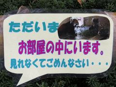 秋のレッサーパンダ紀行【３】 市川市動植物園　おチビちゃんには会えなかったけど・・・、優花ちゃんと梨花ちゃんの共同子育てに感動！！