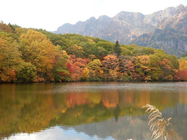 紅葉時期の戸隠神社を巡ってきました。　この時期の休日は道路も参道も渋滞だそうですので、思い切ってウイークデイに休みを取って行ってきました。　いやー最高です！　紅葉黄葉が晴天の日差しを浴びて大変美しかったです。<br /><br />