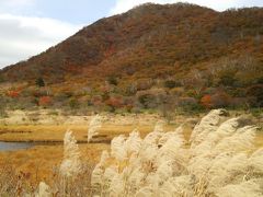 思いきって出かけて大正解「ご朱印ガール」　群馬県・赤城神社参拝