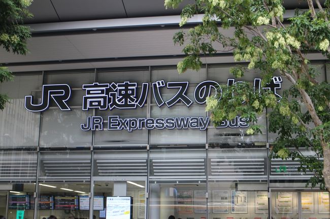 東京駅は新幹線や鉄道ばかりでなく、各方面行の多くの高速バスが発着し賑わっている。今回乗車するのはJRバス関東と千葉交通の共同運行便、<br />東京駅～匝瑳市役所路線。マイナーな路線で、その存在は知らない方がほとんどでは？<br />ただ、飛行機の好きな方には面白い路線で、航空科学博物館に直接アクセスすることができ、撮影名所のさくらの丘、ひこうきの丘へも便利。<br />この日は、成田で打ち合わせの後、夜のフライトだったので、昼間は飛行機を眺めて楽しむ予定・・・<br />実際は・・・天候が悪く、撮影には不向き・・・意味のない時間を過ごすことになってしまったが・・・<br />◎高速バス<br />◎航空科学博物館<br />◎JRバス路線バス<br />