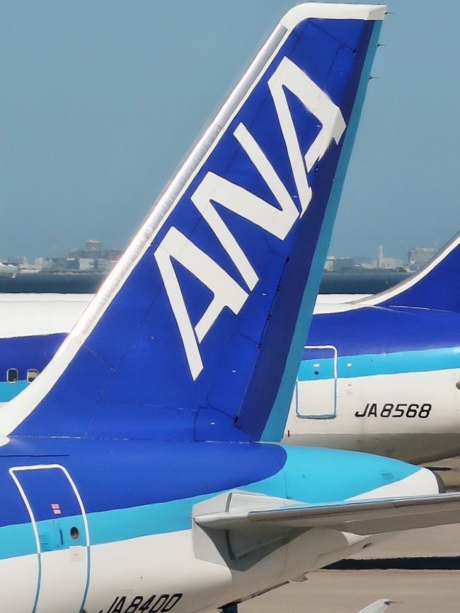 羽田空港　ＡＮＡ283便　徳島行き　搭乗<br />ミステリーツアーは、幸先よく窓際席にあたる。<br />湘南海岸や江の島もよく見えてラッキー！　　<br /><br />羽田空港第２ターミナル　については・・<br />https://www.ana.co.jp/domestic/departure/airport/map.html?c=hnd02<br /><br />