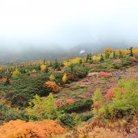 一足早い紅葉を見る為長野の山に登り続ける一人旅３日目