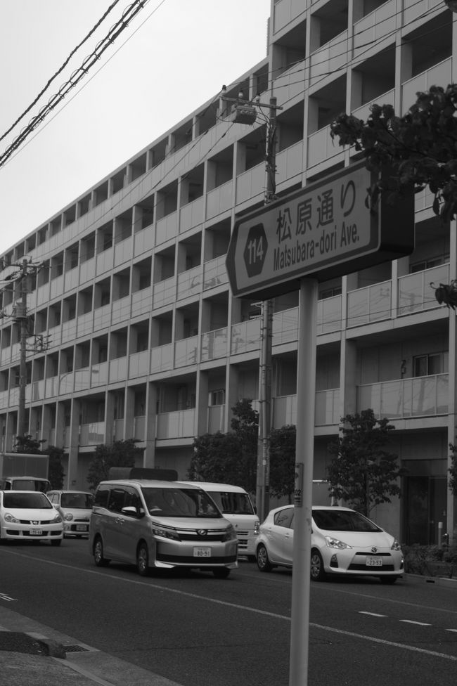 東京都調布市の京王線仙川駅にある松原通りには、<br />建築家、安藤忠雄が設計した建築物がズラリと並ん<br />でいると知り行ってみることにした。<br /><br />安藤忠雄とは、大阪生まれの建築家で、現在76歳。<br />ギョロリとした目玉に眉毛を覆うようなマッシュ<br />ルームカットは、もしバンドをやっていたなら、<br />嫁さんがいるにもかかわらずハーフの売れっ子タレ<br />ントに手を出し、メディアから総バッシング受けた<br />らサッと手を引き、性懲りもなくに今度は10代のく<br />すぶりアイドルに手を出しそうな風貌だが、実は工<br />業高校を出て独学で建築を学んだ苦労人で、建築界<br />では有名ないくつもの賞を受賞しているけっこうす<br />ごい人である。<br /><br />大阪に事務所を構えている関係で、関西の物件を手<br />掛けることが多く、80年代までは個人邸を中心に設<br />計をしていたが、90年代からは博物館や美術館など<br />のハコモノも設計するようになった。<br /><br />有名なものとしては、大阪府茨木市にある茨木春日<br />丘教会（光の教会）、住吉の長屋などの小さなもの<br />から、1992年のセビリャ万博の日本館、東京では表<br />参道ヒルズ、東京メトロ副都心線渋谷駅の地下駅舎な<br />どがある。<br /><br />特徴としては、外壁塗装を施さない鉄筋コンクリート<br />むき出しの外観に上階部分がせり出した頭でっかちの<br />建物が多い。表参道ヒルズなどはこの形である。<br /><br />あまり、高層建築は扱わないようで、低層でべったり<br />として面積の広い建造物が多い。<br /><br />鉄筋コンクリート造の建築物ばかりを設計しているが、<br />当の本人は木造の家に住み「鉄筋は人間の住むところ<br />じゃないと思う」などとインタビューで言っていた。<br /><br />調布のこの場所に彼の建築物がいくつか建てられたの<br />は、この周辺の土地に都道が引かれることになり、使<br />いようのない直角三角形定規のような土地ができてし<br />まうので、狭い土地に珍奇な建物を建てるのが得意な<br />安藤忠雄に設計を依頼したという経緯がある。<br />