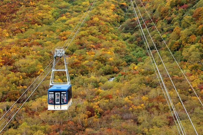 この時期の６連休、紅葉を見に行きたいけどまだどこも早い…。<br />いや！山だ！標高の高い山のてっぺんなら紅葉してるはず！<br />という事で長野の山という山に毎日登りまくってきました。<br />といっても途中までロープウェイとかバスで登るお手軽トレッキングですが…。<br /><br />４日目は立山黒部アルペンルート。<br />長野というよりほぼ富山ですが、長野側から挑むんだからこれは長野の旅だ！問題ない！<br />観光スポットとしてド定番のこの場所。今日はようやく晴れの予報。<br />以前一度バスツアーで来た事があるのですが、今回は丸一日使って好きなだけ探索できるので期待も高まります。