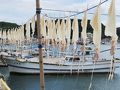 呼子・玄海の旅行記