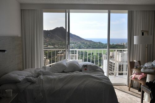 ニーマンマーカス購入 インテリア 玄関に 300ドル 華やか 造花 フラワー 鉢付き ニコライバーグマン ハワイのデパート巡り♬購入品ニーマンマーカス\u0026ノードストローム