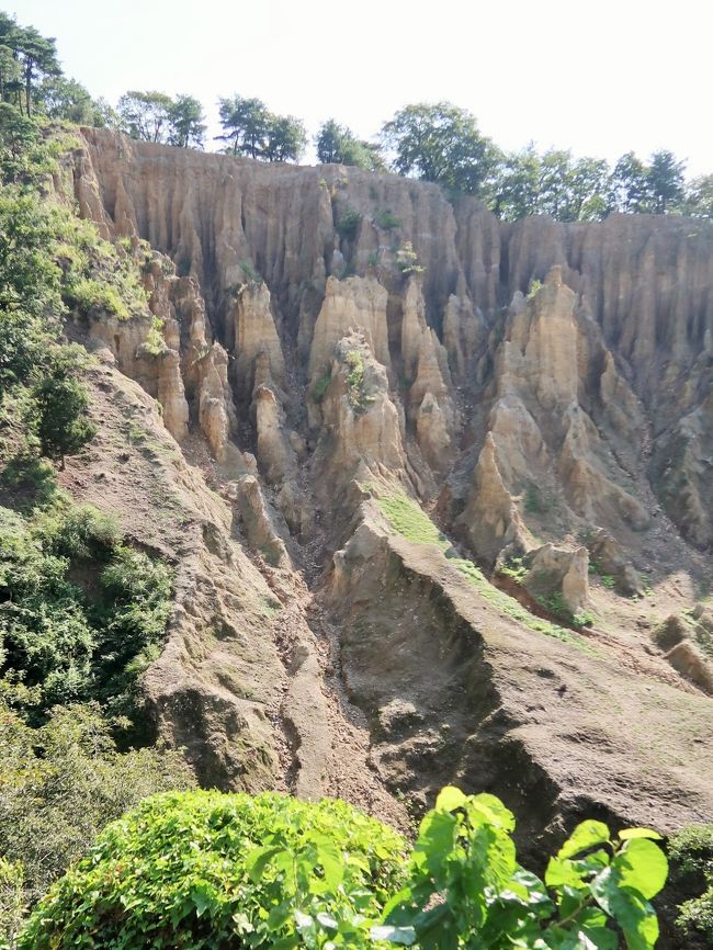 土柱(どちゅう、earth pillar、hoodoo)は礫や砂からなる段丘礫層(土柱礫層)が風雨により侵食され柱状になったもの。土柱が生成される条件としては直立した崖をつくる礫層があることや、頂部に侵食抵抗性のある地層があることである。悪地地形の一種である。<br />日本では、「世界三大土柱」として、ティロル地方(イタリア)・ロッキー山脈(アメリカ)・徳島(日本、「阿波の土柱」)があげられることがあるが根拠は不明である。<br /><br />阿波の土柱(あわのどちゅう)は、徳島県阿波市に存在する土柱のことであり、1934年(昭和9年)5月1日に国の天然記念物に指定された。とくしま88景に選定。<br />阿波の土柱は800年に発見されたとの記録がある。吉野川によって作られた砂礫層が侵食されて出来たものである。この段丘礫層は吉野川が約130万年前にこの地が川底であったときにできたものである。最も大きいものは波濤嶽(はとうがたけ)と名付けられ高さ10m前後の柱が南北約90m、東西約50mの範囲に多数立っている。付近一帯は土柱高越県立自然公園に指定されている。<br /><br />アメリカ合衆国ユタ州南西部に位置するブライス・キャニオン国立公園内にあり、フードゥー (Hoodoo) と呼ばれる。この地は植物の育たない悪地で、しばしば起こる豪雨によってもろい地層が浸食され、上部が堅い層でできた部分が残ったことで無数の岩の柱状の地形となっている。<br /><br />イタリア北部の南チロル地方(トレンティーノ=アルト・アディジェ州ボルツァーノ自治県)には土柱が散在し奇観を呈している。レノン(リッテン)の土柱とプラータ(プラッテン)の土柱が有名である。<br /> <br />阿波の土柱 については・・<br /> http://www.awanavi.jp/spot/2013032500996/<br />
