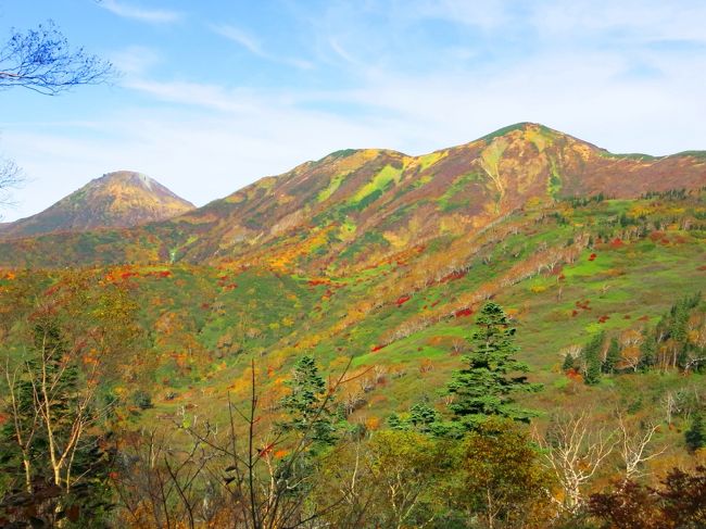 今年の紅葉はどこに行こう？<br />何の脈絡もなく「只見線」が候補に挙がり、あの沿線の風景を眺めるのはどうだ？なんて話から、<br /><br />　せっかくなら浅草岳とか守門岳にでも登るか？<br /><br />みたいな話になり、それがいつの間にか<br /><br />　妙高山も良さそうだ<br /><br />ということになってこれで決着、と思ったら結局火打山に登ったという話。<br /><br />そんな経緯はさておき、前日の雨と打って変わっての秋晴れの下、錦秋を存分に楽しんだ山行記録である。<br /><br />上越妙高まで新幹線、そこからレンタカー（前泊）<br />我々の足だと往復9時間程度の行程と読む。