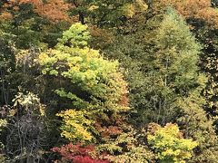 スイーツアウトレット店と紅葉巡りの北海道2泊３日