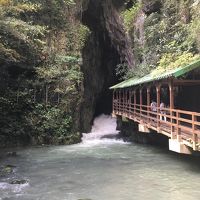 西条酒祭りと、湯田温泉、秋吉洞、下関