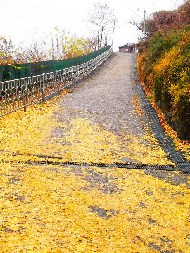 14韓国1日目 会いたいのロケ地とちょっと紅葉 街歩き ソウル 韓国 の旅行記 ブログ By Deuxさん フォートラベル
