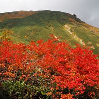 まさに紅葉絶頂の谷川岳　西黒尾根から天神尾根♪