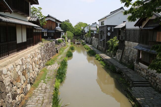 近江八幡の水郷　琵琶湖展望　西明寺　彦根城　をハードな日帰りドライブで楽しんできました。