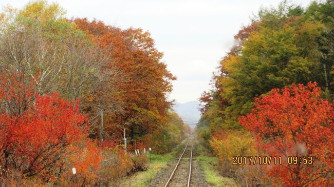 釧路の晩秋のホテルステイの旅で、旅行目的の一つがローカル列車に乗る旅でした。普段、交通機関を利用することが全くと言ってよいほどありません。歩くか、車か、がほとんどです。今回は旅行会社の企画がとても気に入りました。旅行の三日目と四日目に使えるＪＲのフリー切符が付いています。釧路駅の「みどりの窓口」で早速頂きました。「釧路～網走」・「釧路～根室」の二区間が乗り降り自由のフリー切符です。<br />１０／１１日「釧網本線」に乗りました。なんと午前中の列車は。６：０５．と８：５７．の２本だけです。朝食は駅弁（美味かった）。８：５７分に乗車。快速「しれとこ」とありましたが、網走駅着・１１：５３分。約３時間です。途中下車の観光なんか出来ません。帰りは１５：１０分までありません。その釧路駅着は１８：１６分でもう真っ暗になります。約３時間ありましたが、「網走刑務所」と昼食・プラス市内観光を少しでタイムアウトです。途中下車の観光は出来ませんでした。往復の乗車時間が６時間で、ヤレヤレのローカル列車の旅でした。<br /><br />釧路＝網走　釧網本線１８３km＝(往復７，３４０円（ツアー料金に含む）<br /><br />表紙の写真は「網走本線」路線を走る列車からの風景