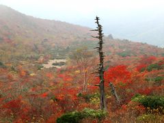 ◆雲霧に燃ゆる那須岳・紅葉紀行２０１７、Part２