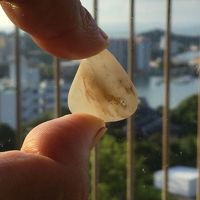 白浜泊 紀伊半島一周