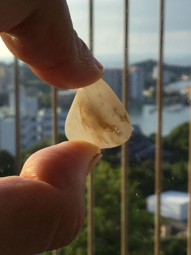 夏の一泊旅行。キレイな色の魚を見ながら泳ぎたい!せっかくだから紀伊半島も一周。