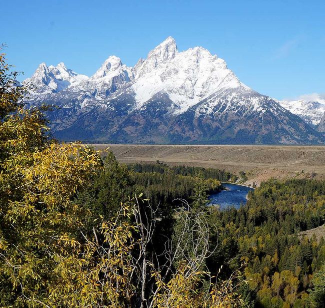 今年の紅葉の季節は、アメリカのグランドティトンNPへ行こうと決めていたので、グランドティトンに9月20日前後に入れるように、旅程を作成。ラスベガスin サンフランシスコoutのチケットが7万５千円という安いUAのチケットがあったので、ついでにグランドサークルの北の部分、ザイオン、ブライスキャニオン、アーチーズにも足を延ばそうということで、結局１８日間の長旅になってしまいました。異常気象でアメリカ北部が季節外れの寒気による積雪に見舞われ、イェローストーンへの訪問が危ぶまれましたが、なんとか行くことができました。旅行最終日の夜にラスベガスでは銃乱射事件が起こりましたが、帰りはサンフランシスコからの出国だったので、難をのがれました。全体的にはアメリカはとにかく広いと実感した旅行でした。<br />第九部は、寒波に見舞われたグランドティトン旅行記の後編。４日目の23日になってようやく晴天に恵まれ、翌24日には公園内を1日見て周ることができました。午後は雲が出てしまったのが残念でしたが、ようやくグランドティトン本来の景色を楽しむことができました。時期が若干早すぎたようで、黄葉が期待ほどではなかったのが少し悔やまれます。（表紙写真は、スネークリバーオーバールック）<br /><br />今回の旅の全行程は以下の通り（NPは国立公園）。<br /><br />9/14 成田16:55発（UA、サンフランシスコ経由）ラスベガス17:00<br />空港でレンタカー借り出し。（ラスベガス・フラミンゴ泊）<br />9/15 ラスベガスー＞ザイオンNP　　　　　　（パンギッチ泊）<br />9/16 パンギッチー＞ブライスキャニオンNP　（キャノンビル泊）<br />9/17 キャノンビルー＞キャピトル・リーフNP＆ゴブリンバレー州立公園　<br />（グリーンリバー泊）<br />9/18 グリーンリバーー＞アーチーズNP　（モアブ泊）<br />9/19 モアブー＞アーチーズNP－＞ソルトレイクシティ空港（レンタカー返却）<br />（ソルトレークシティ泊）<br />9/20 ソルトレークシティ11:05発（Delta）ジャクソンホール空港12:11<br />空港でレンタカー借り出しー＞グランドティトンNP　（コールターベイ泊）<br />9/21 コルターベイー＞ジャクソンー＞パインデール　　（パインデール泊）<br />9/22 パインデールー＞（グリーンリバーレイクロード）－＞アルパイン（泊）<br />9/23 アルパインー＞グランドティトンNP－＞イエローストーンNP－＞<br />グランドティトンNP―＞ジャクソン（泊）<br />9/24 ジャクソンー＞グランドティトンNP－＞ティトンビレッジ（泊）<br />9/25 ジャクソンホール空港（レンタカー返却）13:25発（Delta）ソルトレークシティ14:30 ソルトレークシティ市内見学（ソルトレークシティ泊）<br />9/26 ソルトレークシティ11:30発（UA）サンフランシスコ12:45<br />空港でレンタカー借り出しー＞マーセド（泊）<br />9/27 マーセドー＞ヨセミテNP（グレーシャーポイント）　（ヨセミテバレー泊）<br />9/28 ヨセミテバレーー＞タイオガパスー＞モノレイクー＞ビショップ<br />―＞ビショップ・クリーク・キャニオン　　　　　　　　（ビショップ泊）<br />9/29 ビショップー＞ビショップ・クリーク・キャニオンー＞<br />ロック・クリーク・キャニオンー＞マンモスレイクスー＞トパツレイク（泊）<br />9/30 トパツレイクー＞サクラメントー＞サンフランシスコ・ミルバレー（泊）<br />10/1 ミルバレーー＞ゴールデンゲートブリッジー＞ツインピークスー＞<br />サンフランシスコ空港(レンタカー返却)-&gt;（BART）-&gt;フィッシャーマンズワーフ<br />（ミルブレー泊）<br />10/2 サンフランシスコ11:30発（UA）成田（10/3 14:30<br />