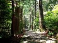 那智勝浦・太地の旅行記