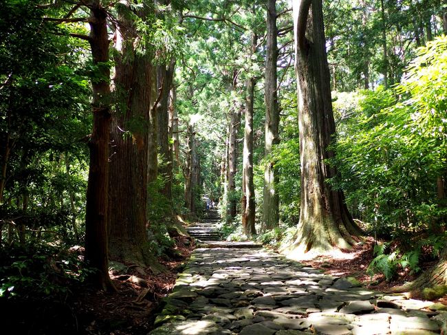 紀州旅行三日目<br /><br /> 平成16年7月に「紀伊山地の霊場と参詣道」が世界遺産に登録されました。和歌山・奈良・三重の広大な地域にまたがりパワースポットとしても人気が高く、少しでも雰囲気を味わう事が出来ればと、初心者でも気楽に歩く事が出来る「熊野那智大社」「那智の滝」へと続く、石畳の大門坂コースにチャレンジしました。<br /><br /><br />*1日目旅行記(紀州の景勝地を行く!)<br />https://4travel.jp/travelogue/11283542<br />*1日目宿泊編(ホテル川久)<br />https://4travel.jp/travelogue/11285671<br />*2日目旅行記(アドベンチャーワールド)<br />https://4travel.jp/travelogue/11289699<br />*2日目宿泊編(ホテル浦島)<br />https://4travel.jp/travelogue/11291692<br /><br />