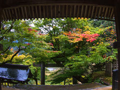 兵庫県　養父神社　朱色の橋が　素敵です～