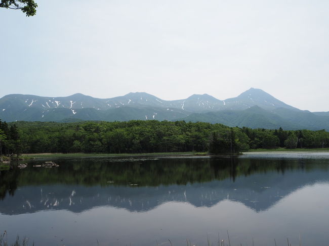 前年に釧路湿原を歩いたのに触発され、今度は知床五湖へ行きたい！(単純)と旅に出ました。<br /><br />ざっくりとしたルートです↓<br /><br />1日目  女満別空港～小清水原生花園～ウトロ泊<br />2日目  ウトロ～知床五湖～知床横断道路～養老牛温泉泊<br />3日目  養老牛温泉～摩周湖～神の子池～中標津空港<br /><br />2泊3日駆け足の旅、ご覧下さい。