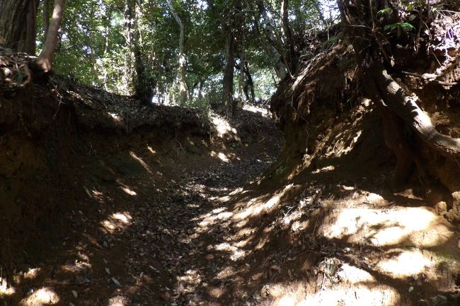 　明月院通にある庚申塚から入る山道がどこに繋がっているのか、また、円覚寺フェンス角から「駅」に下りる山道が一体どこに通じているのかを確かめるために山ノ内をハイキングした。ここでは明月院通にある庚申塚から山道に入り、その山道の出口がどこに繋がっているのかを確認した。要は、明月谷から六国見山に上る旧道であった。<br />　明月院通からしばらくは山道が折れ曲がり、明月谷の急傾斜でも通り易いように道を深さ1mくらいまで掘削して切通のような感じの旧道もあるが、その後は普通の上りの山道が続く。しかし、こうしたU字の掘割道は鎌倉では良く見られる。大船切通よりも掘削が浅く、しかもカーブしたりして勾配がきつくなる3ヶ所程度を掘削して勾配を下げて歩き易くしているので、切通と呼べるかどうかは微妙なところである。晴れて富士山が見える日には、実際にこのアクセスが容易で歩き易い山道を上って六国見山の富士塚へ行って富士山見がてらに確かめて頂きたい。<br />（表紙写真は明月谷から六国見山に上る旧道の明月谷側に見られる切通風の部分）<br /><br />　3つ目のWebでは「切通（？）風」として紹介している。<br />　本ブログでは明月院にある訳でもないために「明月谷」としている。