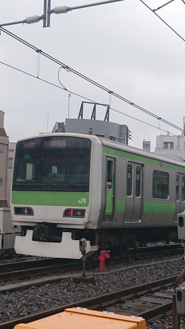 東京の中心部にある絶対誰しもが１度は利用する「山手線」の全ての最寄り駅外回り1周を1日かけて歩きました(笑)人生に１度は挑戦したかった事でやりました（笑）実際やりましたがホントにキツかったです（笑）なので今回は特に観光等はしておりません。