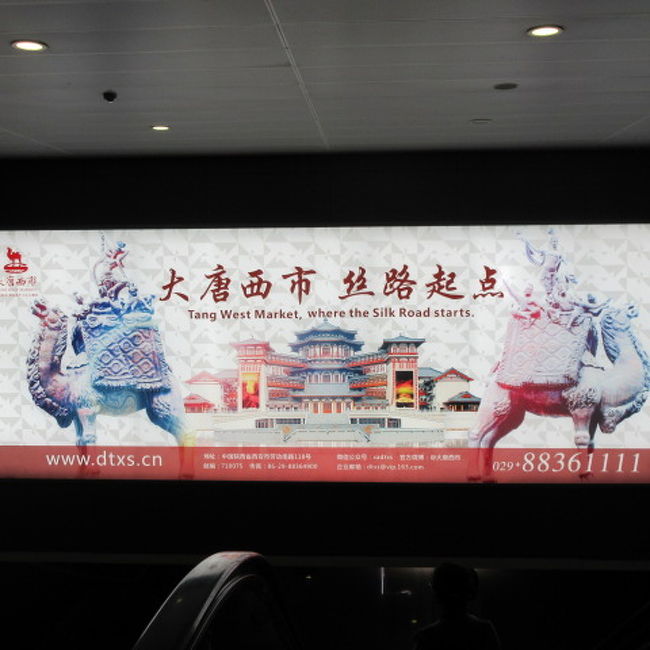 中国の西安行。自分で行こうとしたらややこしくて面倒なので断念。中国新幹線に乗って、洛陽の龍門石窟にも行けるツアーを見つけ、寒くならないうちにと申込。コアな観光地なので、中国通の客多し。<br /><br />西安はとても寒かった、、中国の寺が大きすぎて歩くのにヘトヘト。日本や他の国みたいに観光地でちょっとお茶、が難しい場所なので、途中で温かい飲み物を補給できずひたすら歩いた観光でした。中国の世界遺産は広大でおそるべし。<br /><br />海南航空の「ありません」に参りました。中国新幹線は乗る前に手荷物検査あり、搭乗口の待合あり、飛行機のような乗り方にビックリでした。<br /><br />画像は西安空港です。