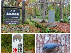 戸隠森林植物園