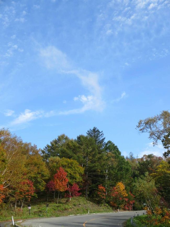 紅葉の志賀高原へ