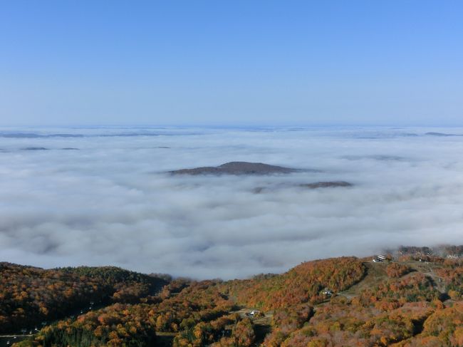 ゴンドラ乗り場から山を見ると天候が悪そうで全く期待できなかったのですがいざ山頂に着くと見事な雲海が広がっていました。