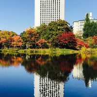 札幌～ニセコ紅葉旅