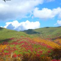 札幌～ニセコ紅葉二日目