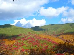 札幌～ニセコ紅葉二日目