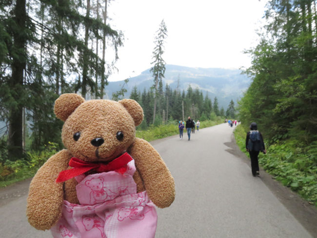 少し古い旅行記になりますが、2015年9月15日から9月30日まで友人と二人でポーランドを旅してきました。以下、旅行の日程で、ここでは9月23日の様子をまとめました。<br /><br />9月15日 滞在先のロンドンから空路、ワルシャワへ(ポーランド航空利用)<br />9月16日 ワルシャワから空路、ヴロツワフへ(ポーランド航空利用)。着後、日本から来た友人と合流<br />9月17日 ヴロツワフから日帰り ヤヴォル平和教会 観光<br />9月18日 ヴロツワフから日帰り シフィドニツァ平和教会 観光<br />9月19日 ヴロツワフから鉄道でクラクフへ<br />9月20日 クラクフ旧市街 観光 <br />9月21日 クラクフから日帰り ヴィエリチカ岩塩坑 観光<br />9月22日 クラクフからバスでザコパネへ。着後、グバウフカ山 観光<br />9月23日 ザコパネから日帰り モルスキエ オコ湖 トレッキング<br />9月24日 ザコパネから日帰り 大カスプロヴィ山 トレッキング<br />9月25日 午前中、ザコパネ観光。午後、バスでクラクフへ<br />9月26日 クラクフ 観光<br />9月27日 友人が一足先に帰国。私はひとりでクラクフ 観光<br />9月28日 クラクフから電車でワルシャワへ<br />9月29日 午前中、ワルシャワ観光。夜、エアフラ便で日本へ<br />9月30日 成田着<br /><br />そして、今回、私の旅の友となるクマのぬいぐるみは、アイルランド旅行記に出てきたプーニャと同時期に生まれた「ポーニャ」です。右目の上に斜めの白い筋が見えますが、私があやまってつけてしまった日焼け止めです。洗っても落ちなくて、ポーニャにはかわいそうなことをしてしまいました…。