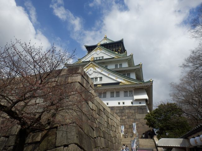 　太閤秀吉によって築城された大坂城。大坂冬の陣、夏の陣によって落城。<br />大阪城は誰が造ったのか?大工さん、こんな落語?があったが秀吉の城はすべて破壊され跡形もなくなっている、<br />　徳川時代に秀吉時代よりはるかに立派な城として再築、しかし第二次世界大戦の大阪大空襲で炎上、その後大阪市民の寄付などで再々築城して現在に至っている。再建されたとは言え豪華な天守閣です。徳川幕府の厳命により各地の藩が競って構築した石垣は指名された藩の威信と幕府への忠誠を示している。<br />　今回は主として石垣を見て廻ることとした。各地に残る城を多数見てきたがこれほど立派な石垣は大阪城だけと思われる<br />　行程はゆっくり歩いて2.5時間、城内はほぼ平坦、天守閣はエレベーターで最上階へ上がれます(天守閣は有料)<br />