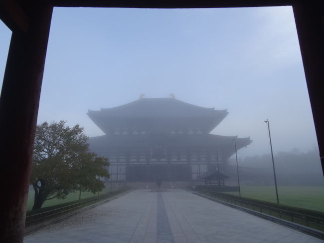 奈良は、有名な観光地ですが修学旅行で来ただけ。今回は、仕事でJR奈良駅の近くに泊り　朝いつものように散歩ですが少し長く歩いてみました。JR奈良駅を出発近鉄奈良駅、県庁、奈良公園、東大寺、春日大社、興福寺、五重塔、開化天皇陵を周り2時間弱。京都と違い幅の広い道もなく　鹿も普通に歩いているせいか交通量も少ないので歩くのにはとてもいい環境でした。