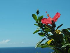 離島マニアの石垣島・波照間島旅行記（石垣編）