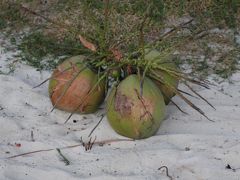 癒しを求めてマレーシア/ペルヘンティアン島