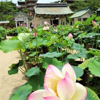 尾道～瀬戸内しまなみ海道と耕三寺をめぐる旅①