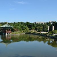 【エアソウルで親子韓国旅行】LCC＆格安ホテル＆サウナでB級グルメを楽しむ！韓国プロ野球は蚕室球場で！