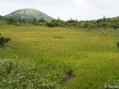 夏の東北旅行【９】八甲田山ゴードライン散策