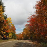 カナダ紅葉ドライブとアメリカ２都市の旅　４日目　（アルゴンキン州立公園、オタワ）