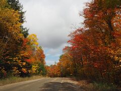 カナダ紅葉ドライブとアメリカ２都市の旅　４日目　（アルゴンキン州立公園、オタワ）